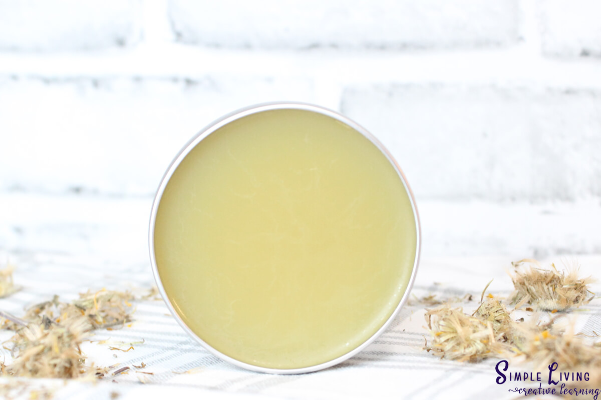 Arnica Salve in a tin standing on its side