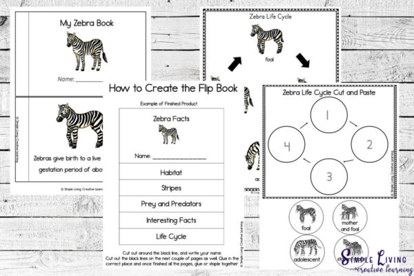 Zebra Life Cycle Printables - Simple Living. Creative Learning
