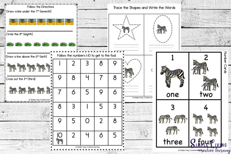 Zebra Life Cycle Printables - Simple Living. Creative Learning