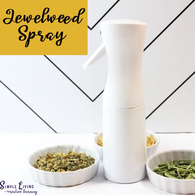 Homemade Jewelweed Spray in a white spray bottle