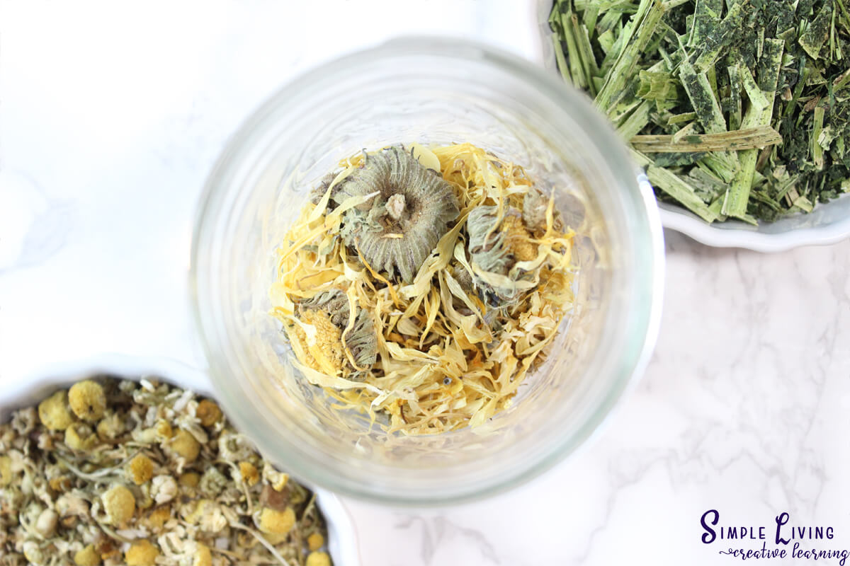 Homemade Jewelweed Spray