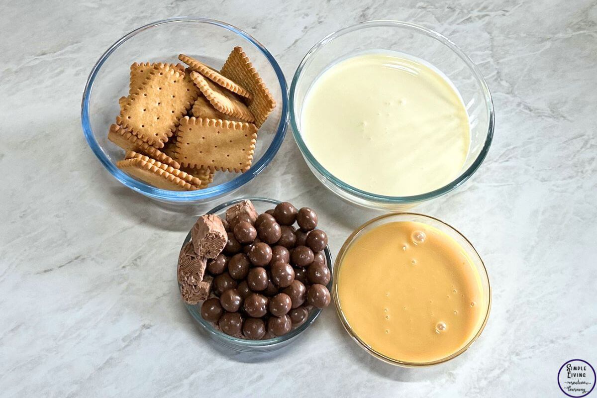 Ice Cream Slice Ingredients
