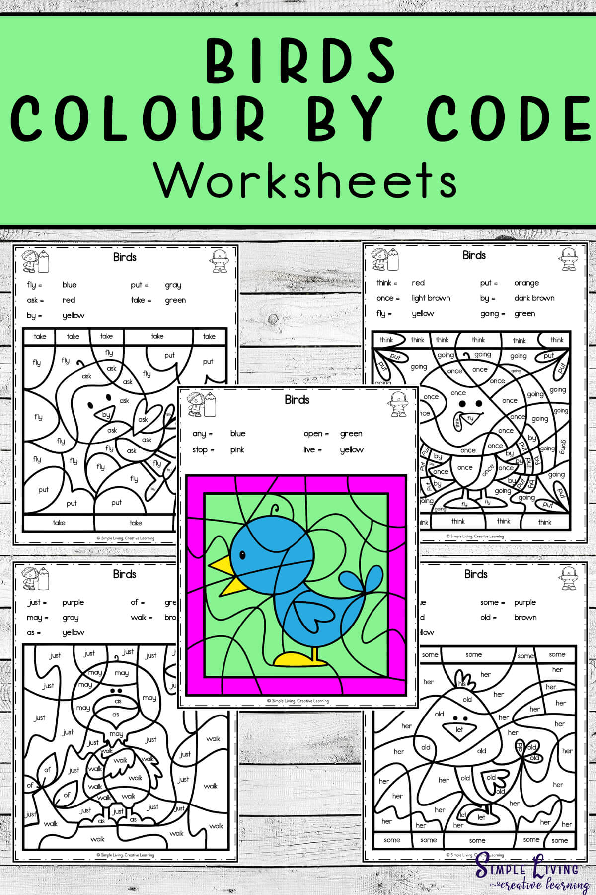 Birds Colour by Code Worksheets