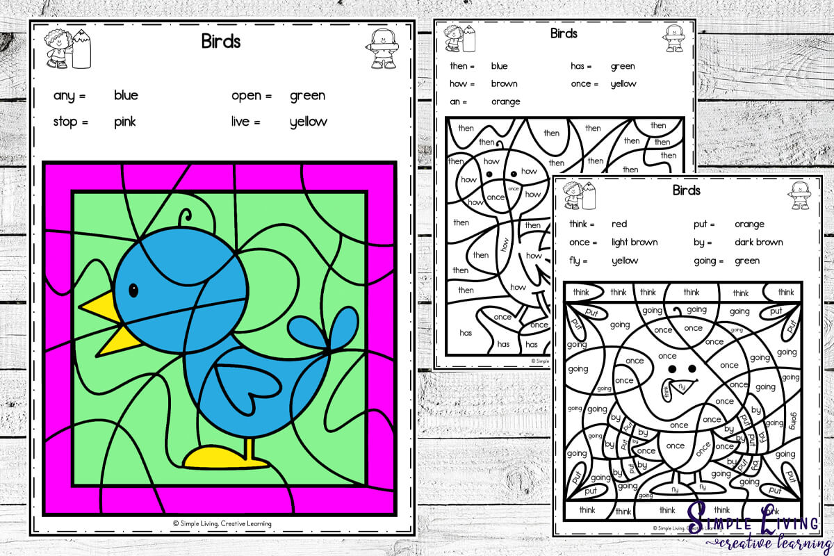 Birds Colour by Code Worksheets three pages one completed