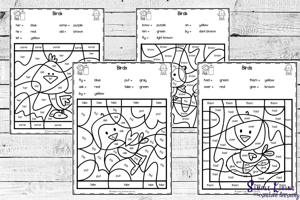 Birds Colour by Code Worksheets four pages ready to complete