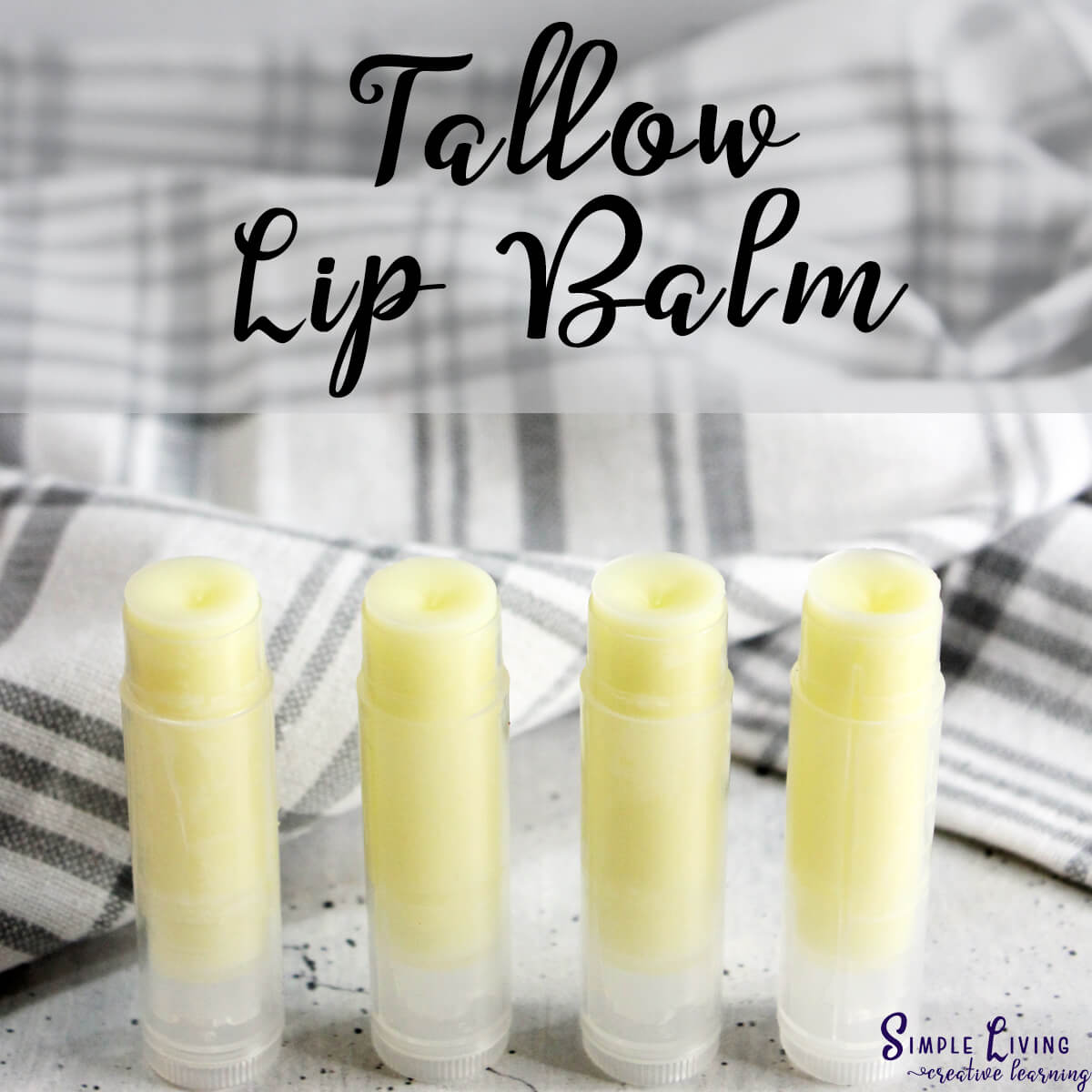 Tallow Lip Balm four tubes of lip balm