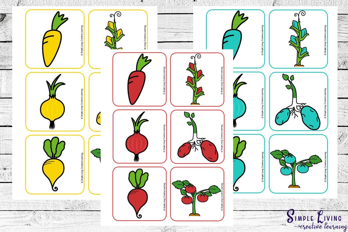 Farm Food Colour Matching Cards three pages of the coloured vegetables
