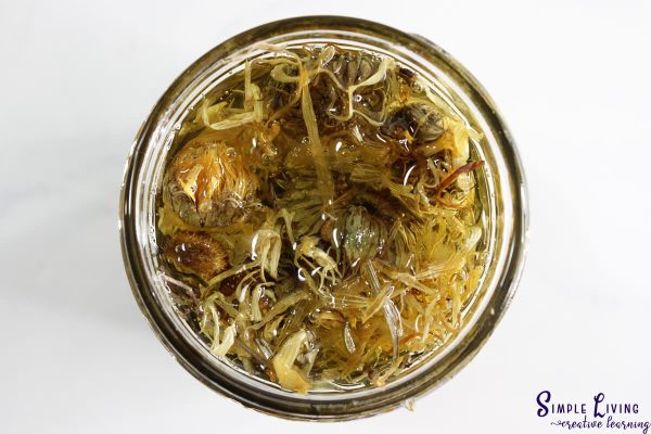 Bug Bite Balm making the infused oil