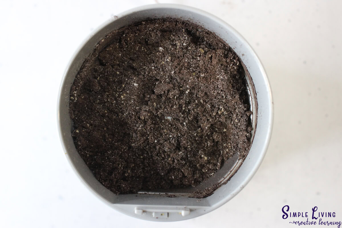 Homemade Coffee Face and Body Scrub blended to a fine powder