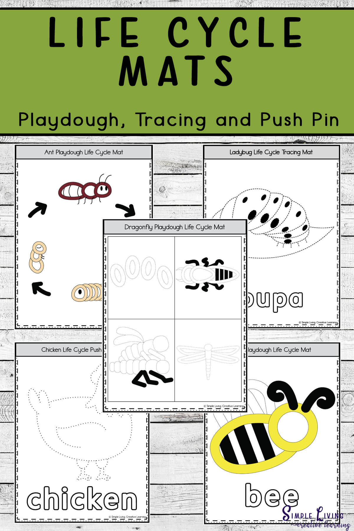Animal Life Cycle Mat
