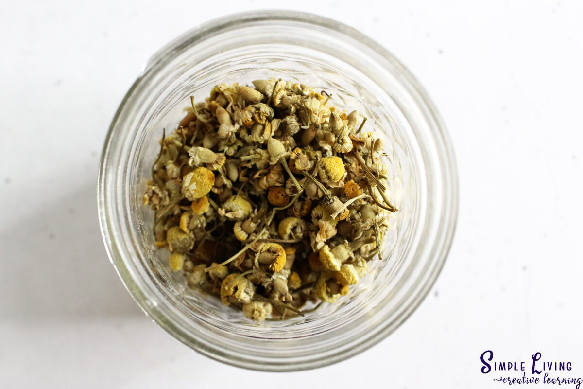 Homemade Natural Sleep Salve adding the flowers to the jar