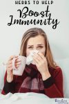 Herbs to Help Boost Immunity