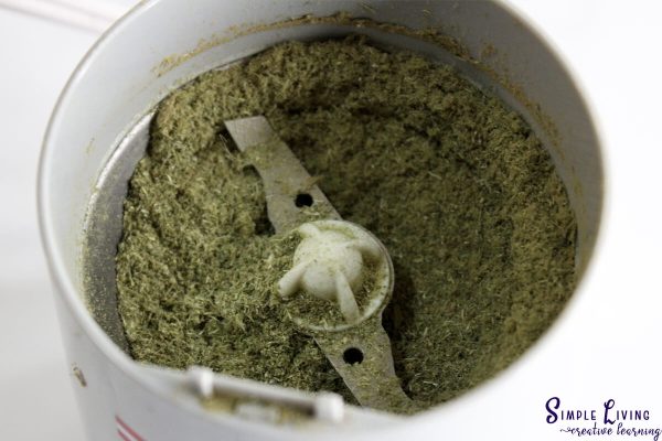 Stop Bleeding with Homemade Yarrow Powder blending until it becomes a powder