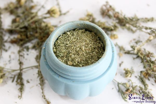 Stop Bleeding with Homemade Yarrow Powder in an airtight container