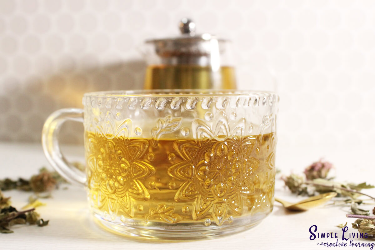 Bee Balm Tea ready to drink