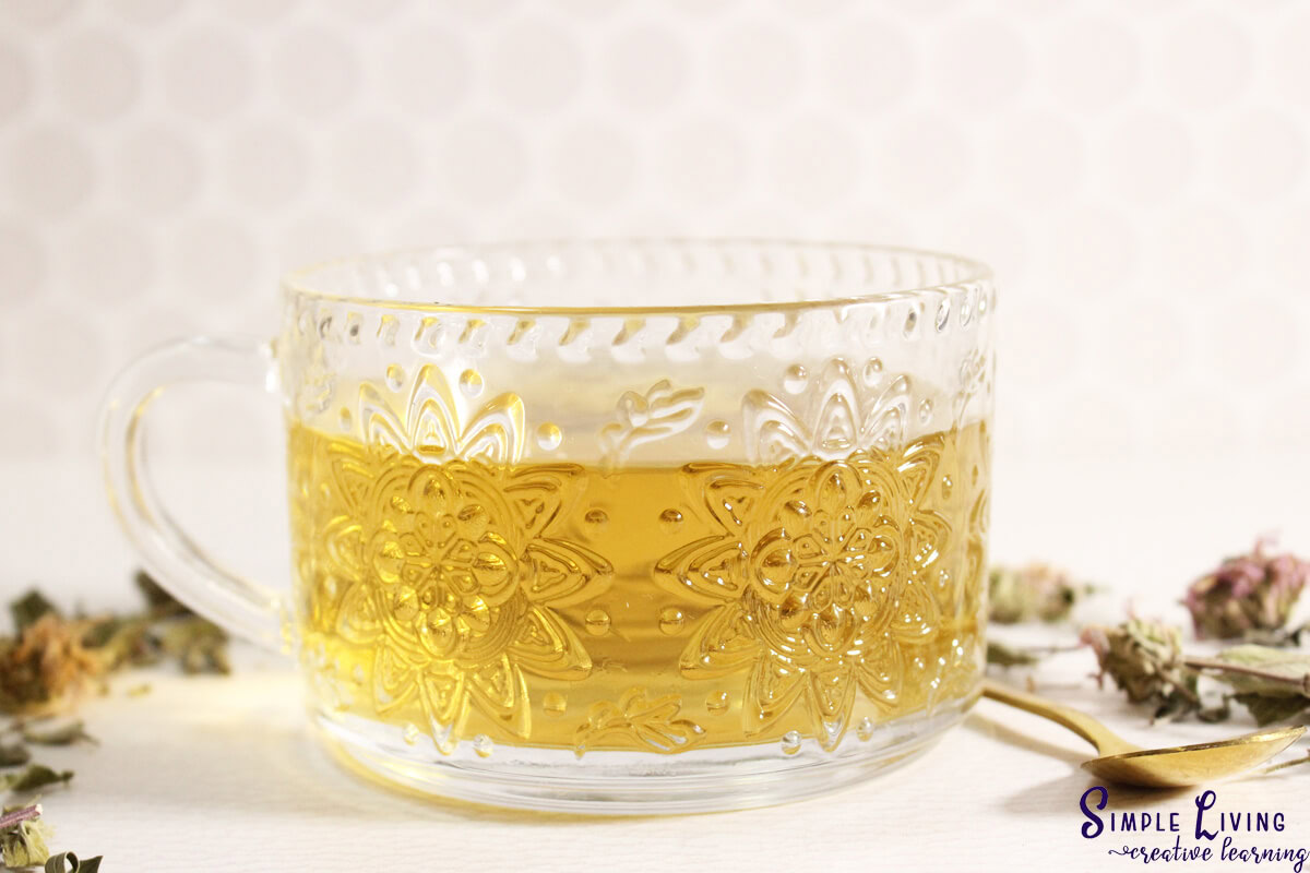 Bee Balm Tea in a mug