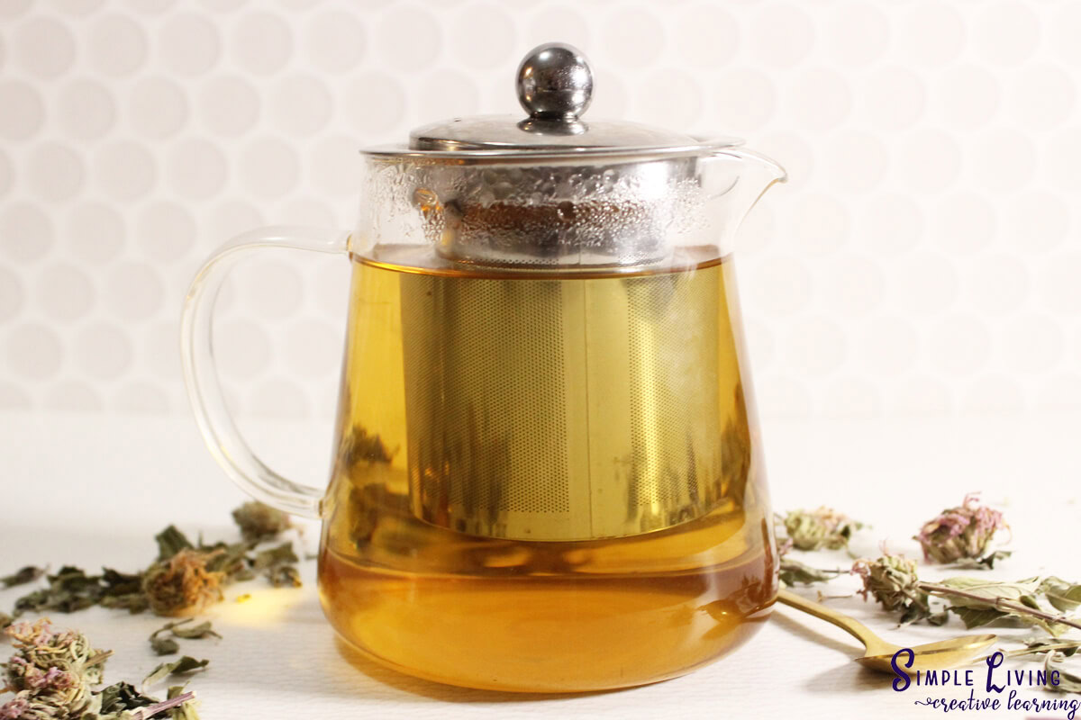 Bee Balm Tea steeping