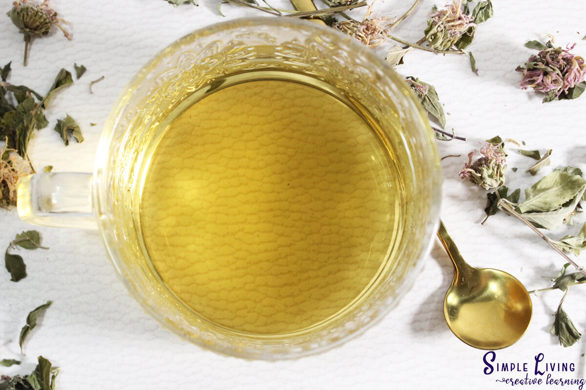 Bee Balm Tea looking down on mug