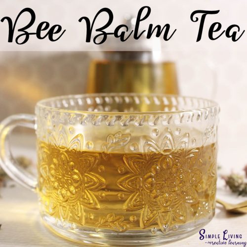 Bee Balm Tea in a glass mug
