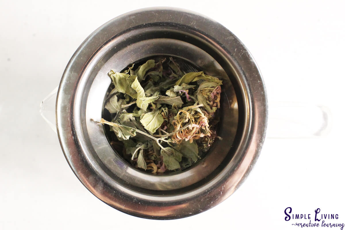 Bee Balm Tea adding the bee balm