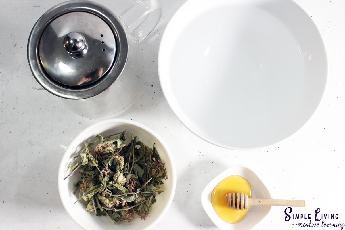 Bee Balm Tea ingredients