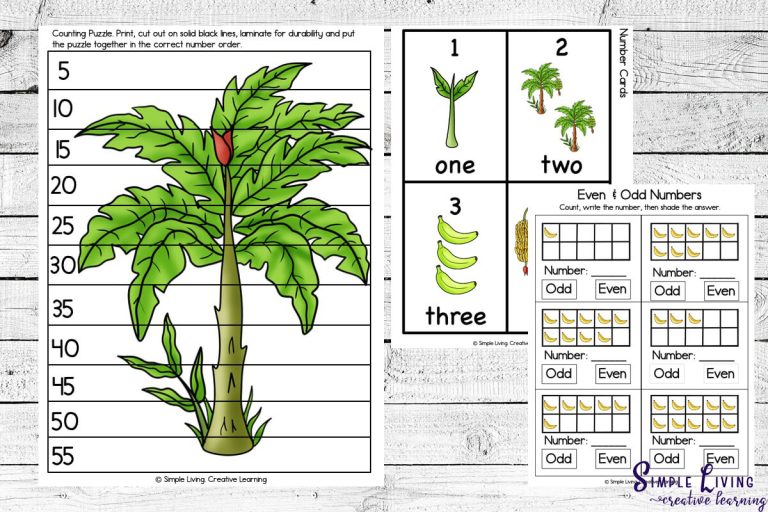 Banana Life Cycle Printables - Simple Living. Creative Learning