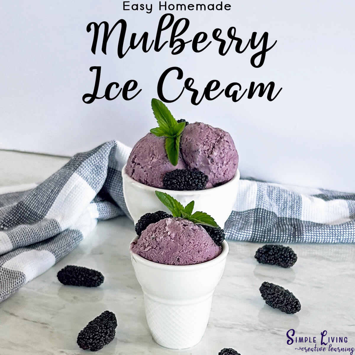 Easy Homemade Mulberry Ice Cream in a bowl