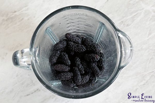 Easy Homemade Mulberry Ice Cream blending mulberries