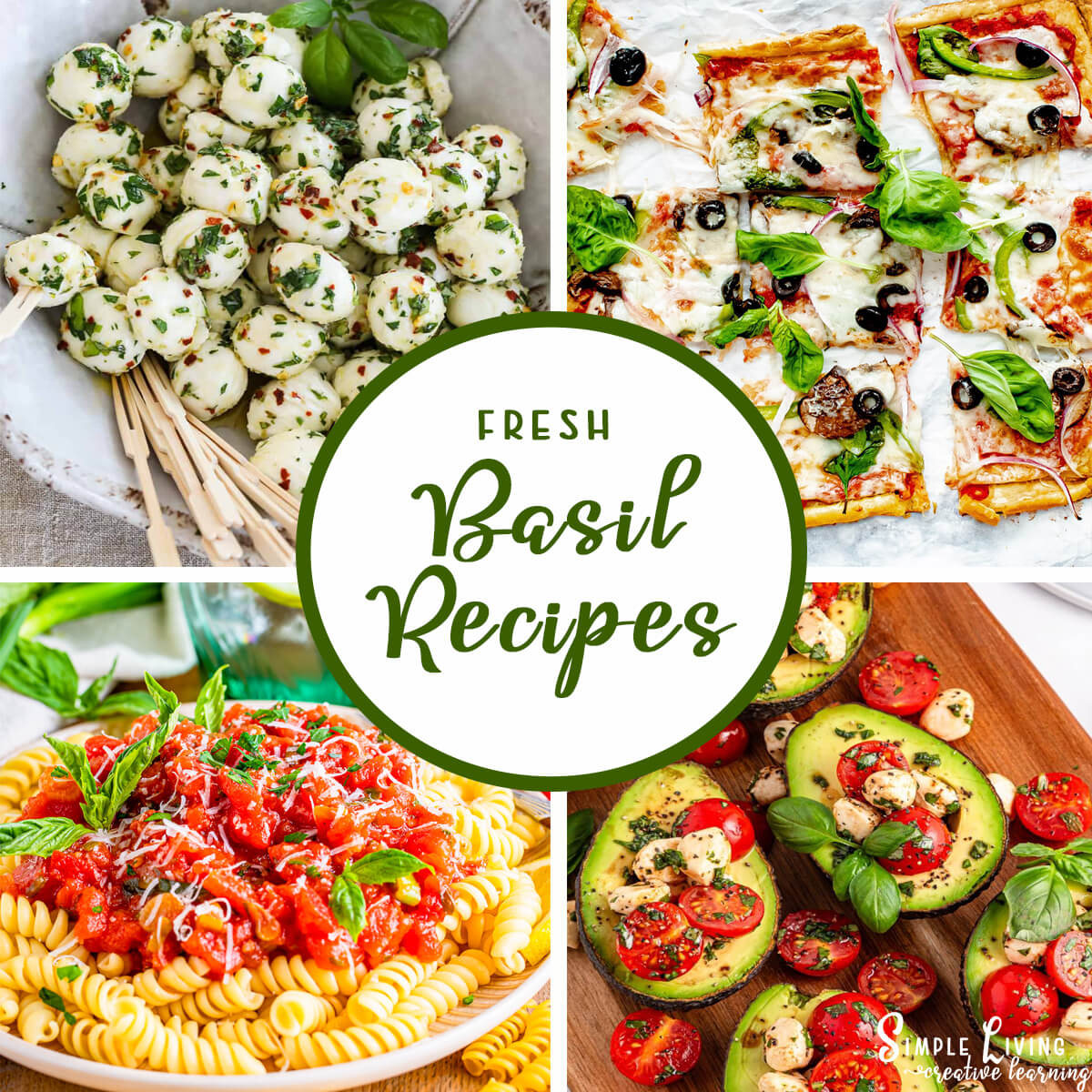 Fresh Basil Recipes