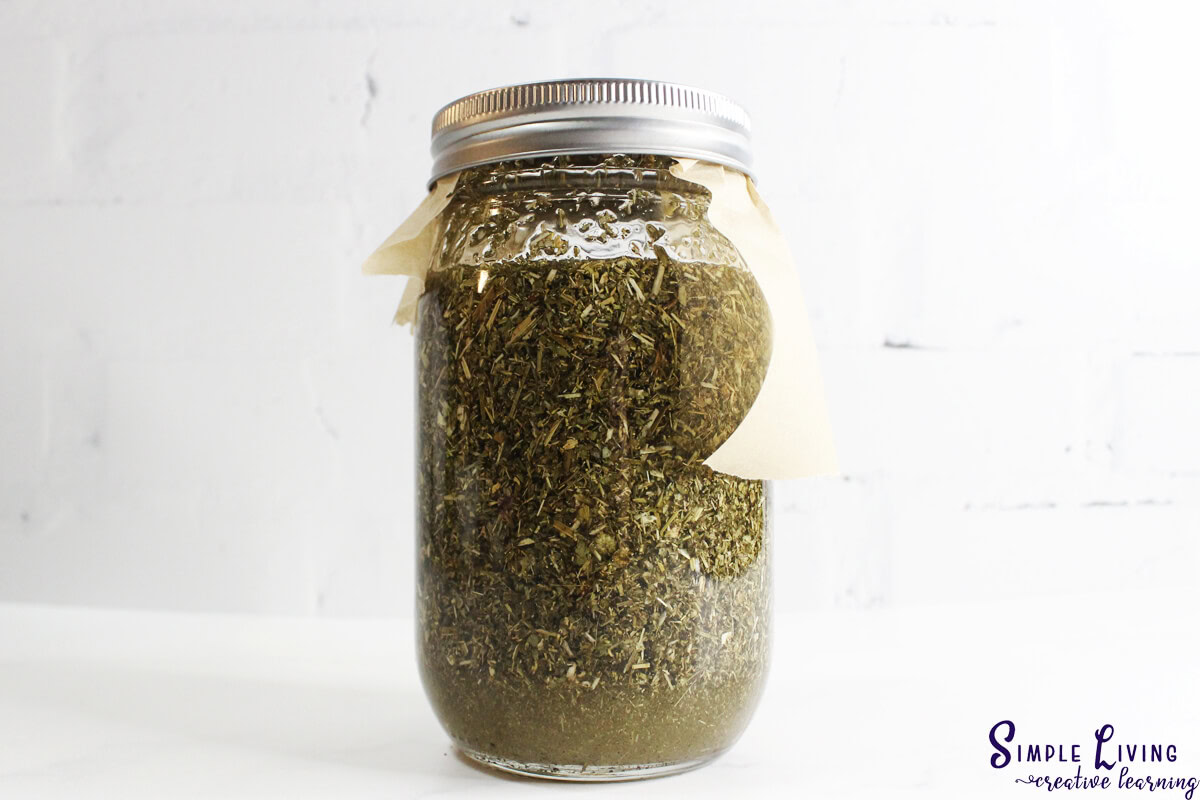 How to Make Feverfew Tincture adding the feverfew and alcohol to a jar