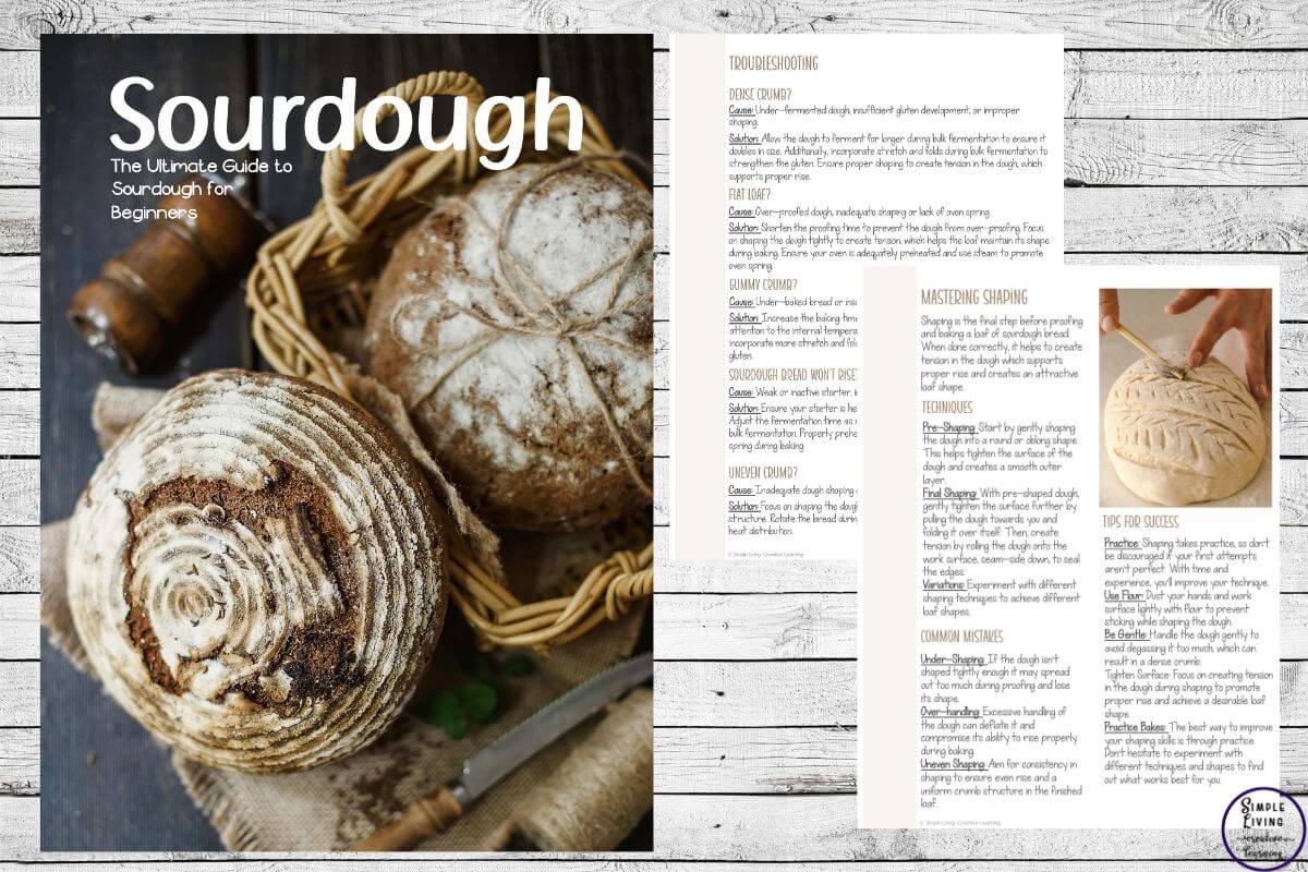 Sourdough The Ultimate Guide to Sourdough for Beginners again 3 more pages