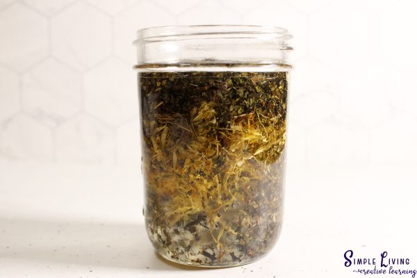 Herbal Antibiotic Ointment making infused oil