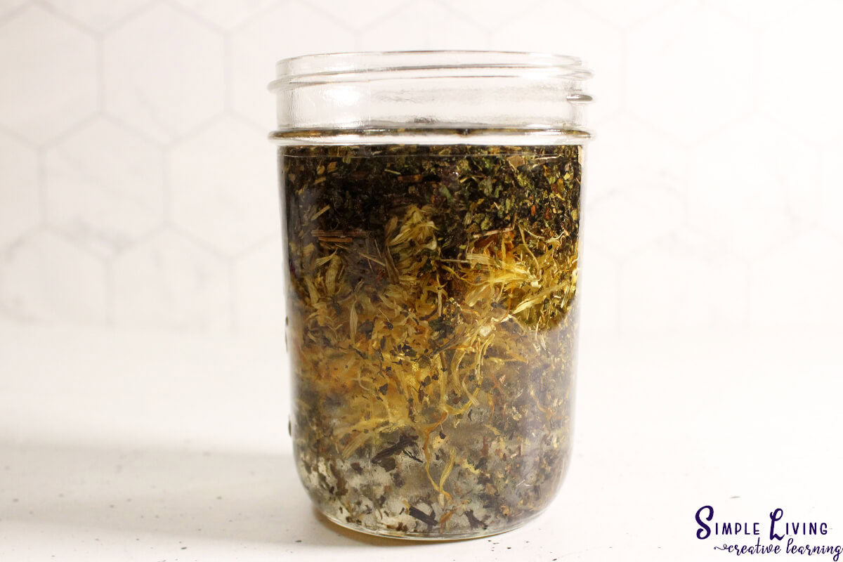 Herbal Antibiotic Ointment making infused oil