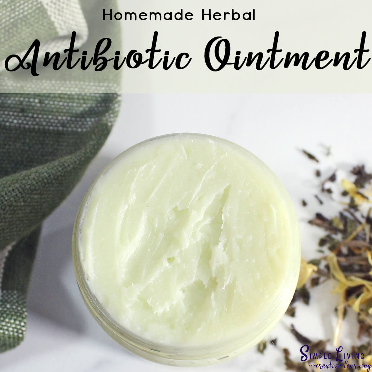 Herbal Antibiotic Ointment in a glass jar