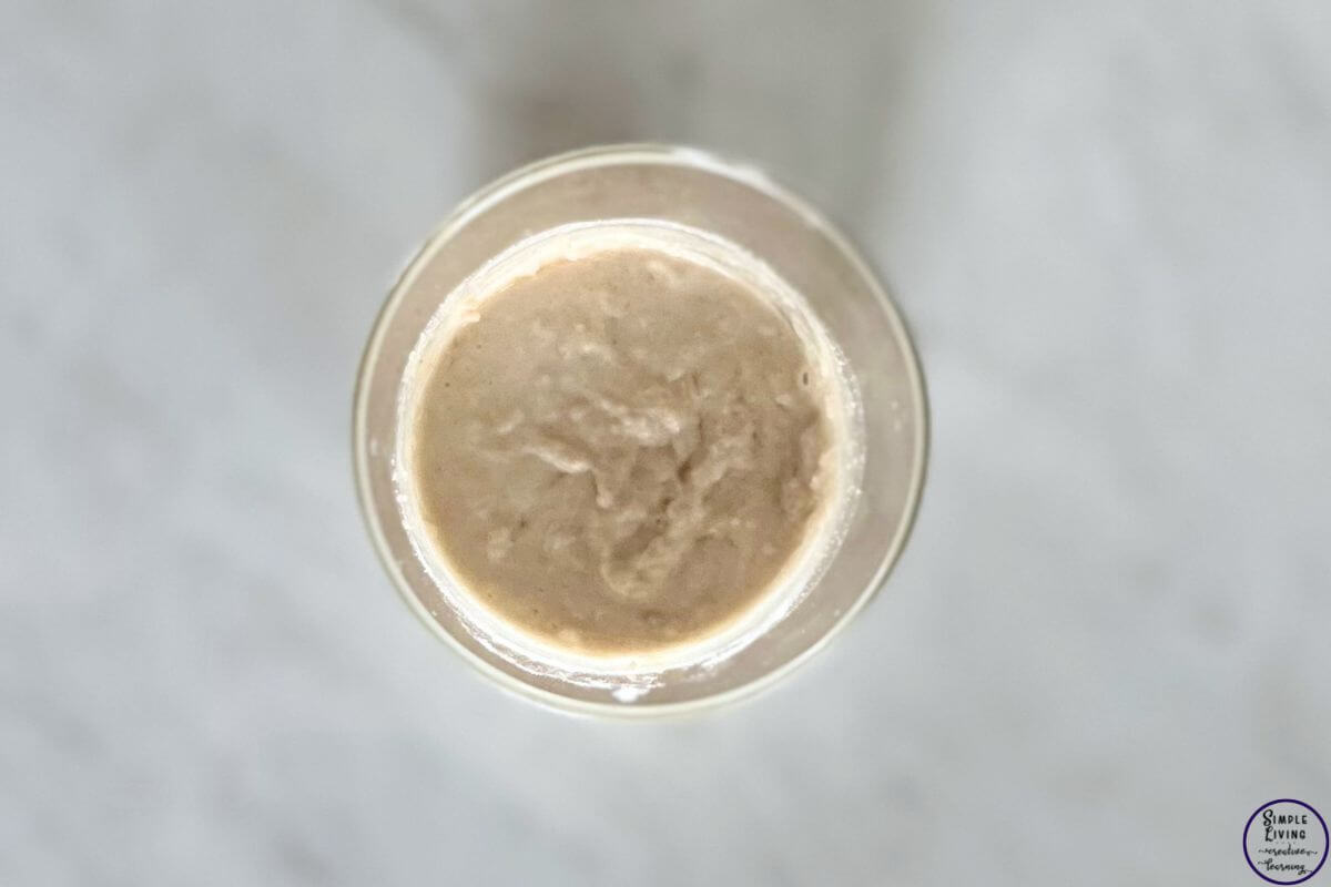 How to Rehydrate Dried Sourdough Starter day 3 more flour
