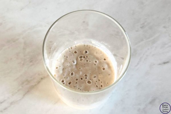 How to Rehydrate Dried Sourdough Starter day 5 active starter