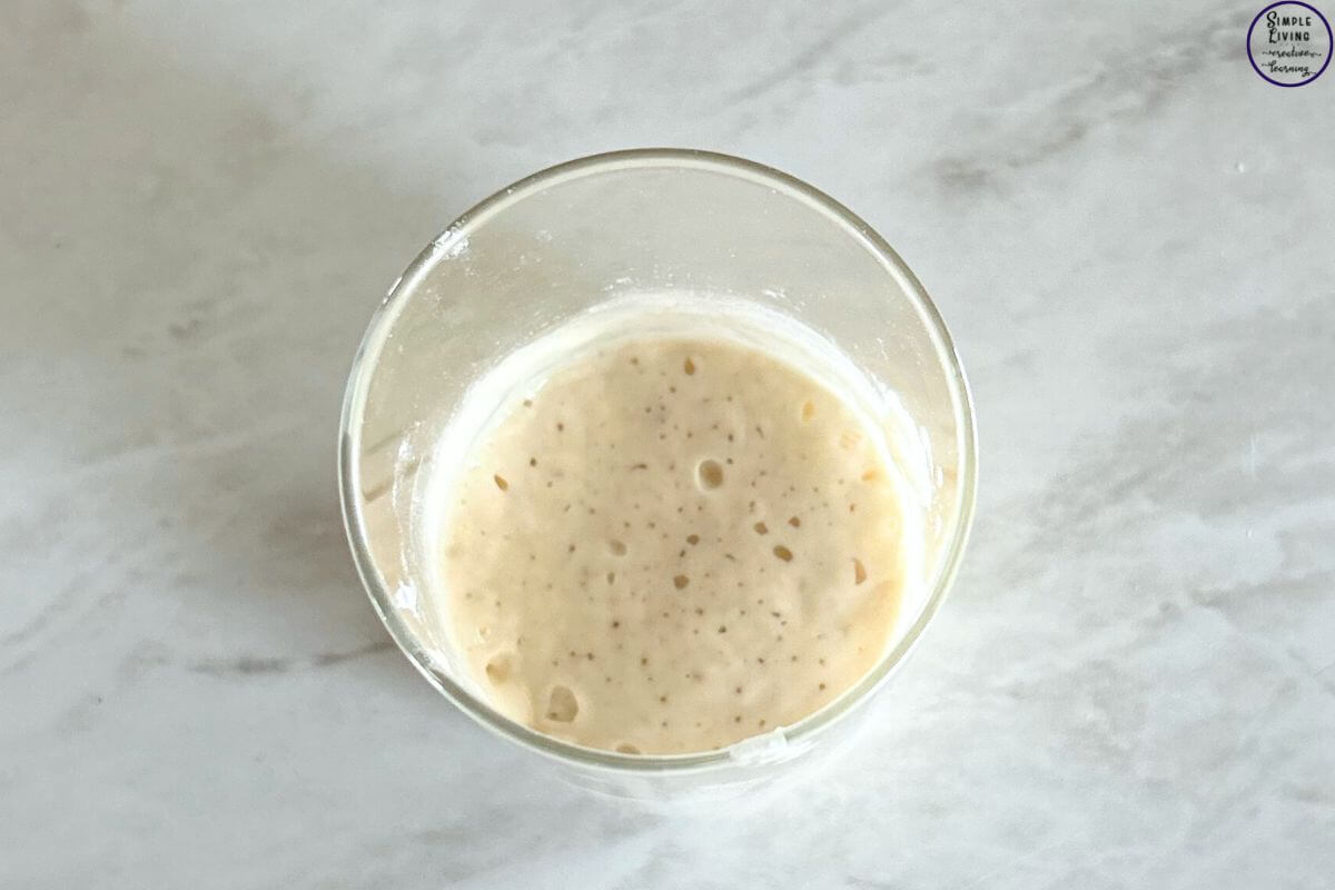 How to Rehydrate Dried Sourdough Starter ready to use