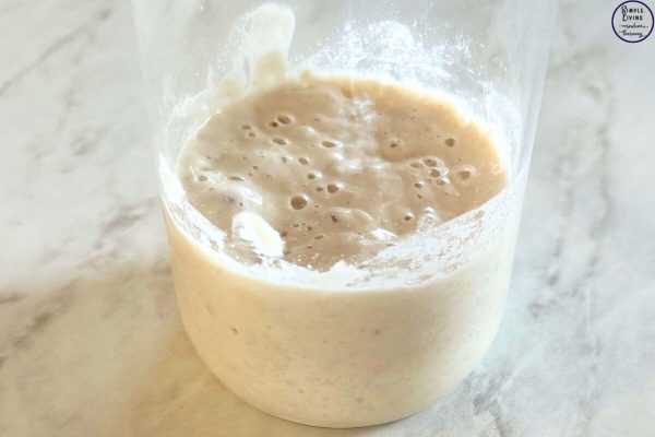 How to Rehydrate Dried Sourdough Starter all rehydrated and ready to use