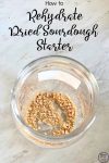 How to Rehydrate Dried Sourdough Starter