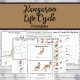 Kangaroo Life Cycle Printables five pages