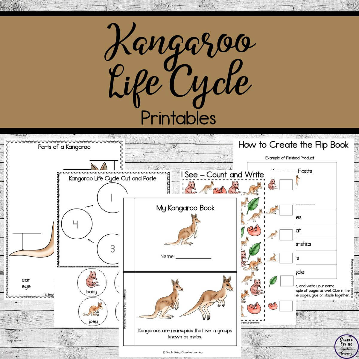 Kangaroo Life Cycle Printables five pages