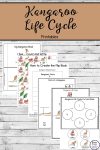 Kangaroo Life Cycle Printables