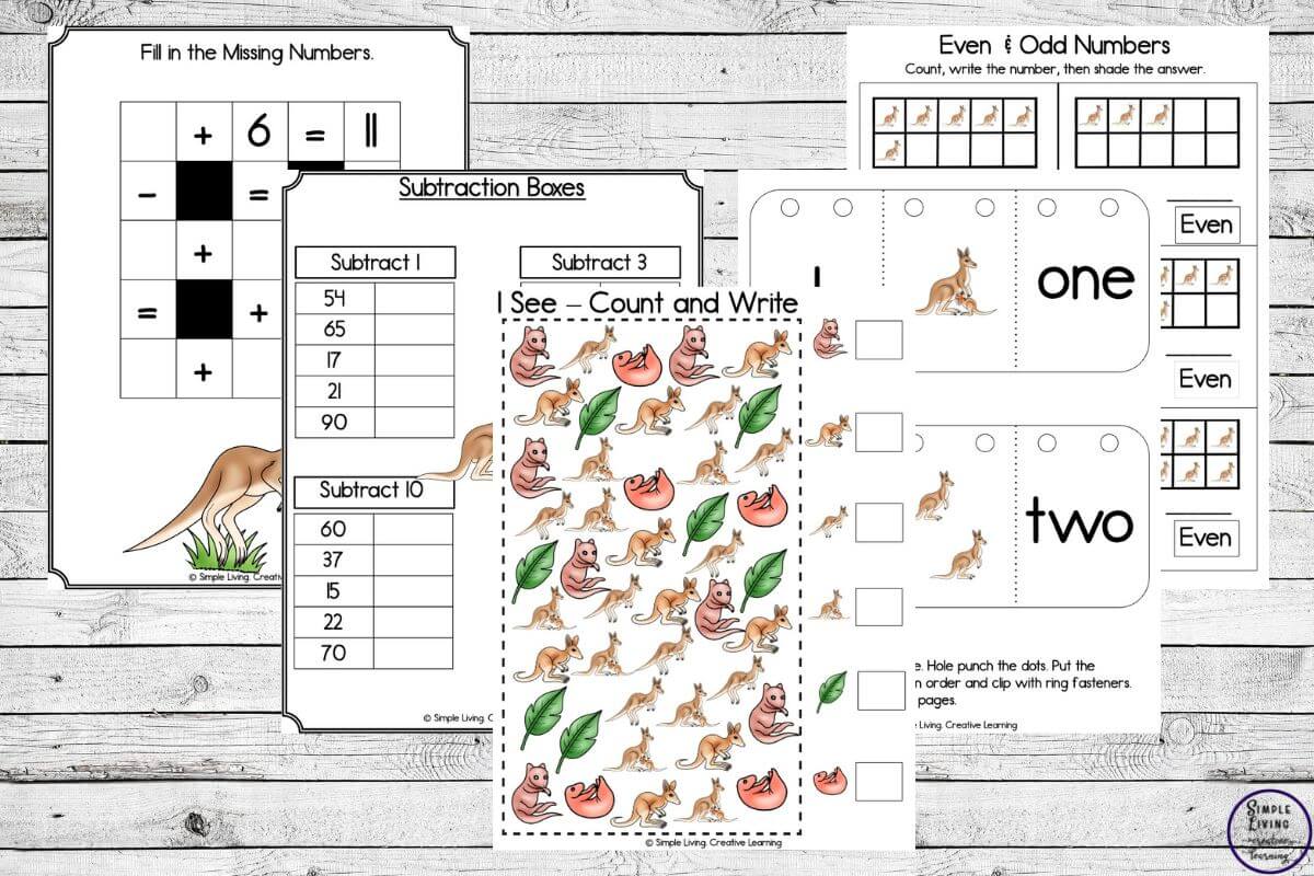 Kangaroo Life Cycle Printables five math pages