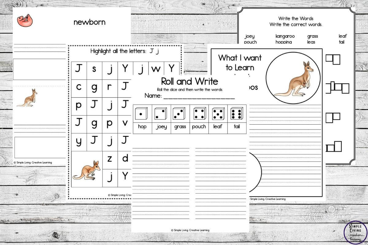 Kangaroo Life Cycle Printables five literacy pages