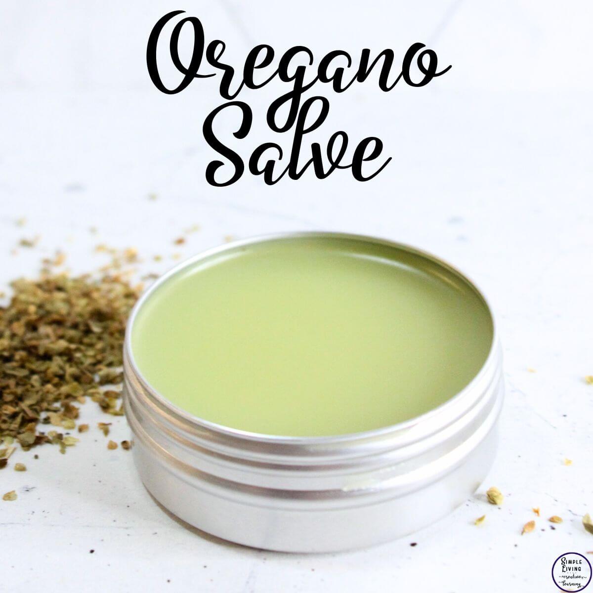 Homemade Oregano Salve in a tin