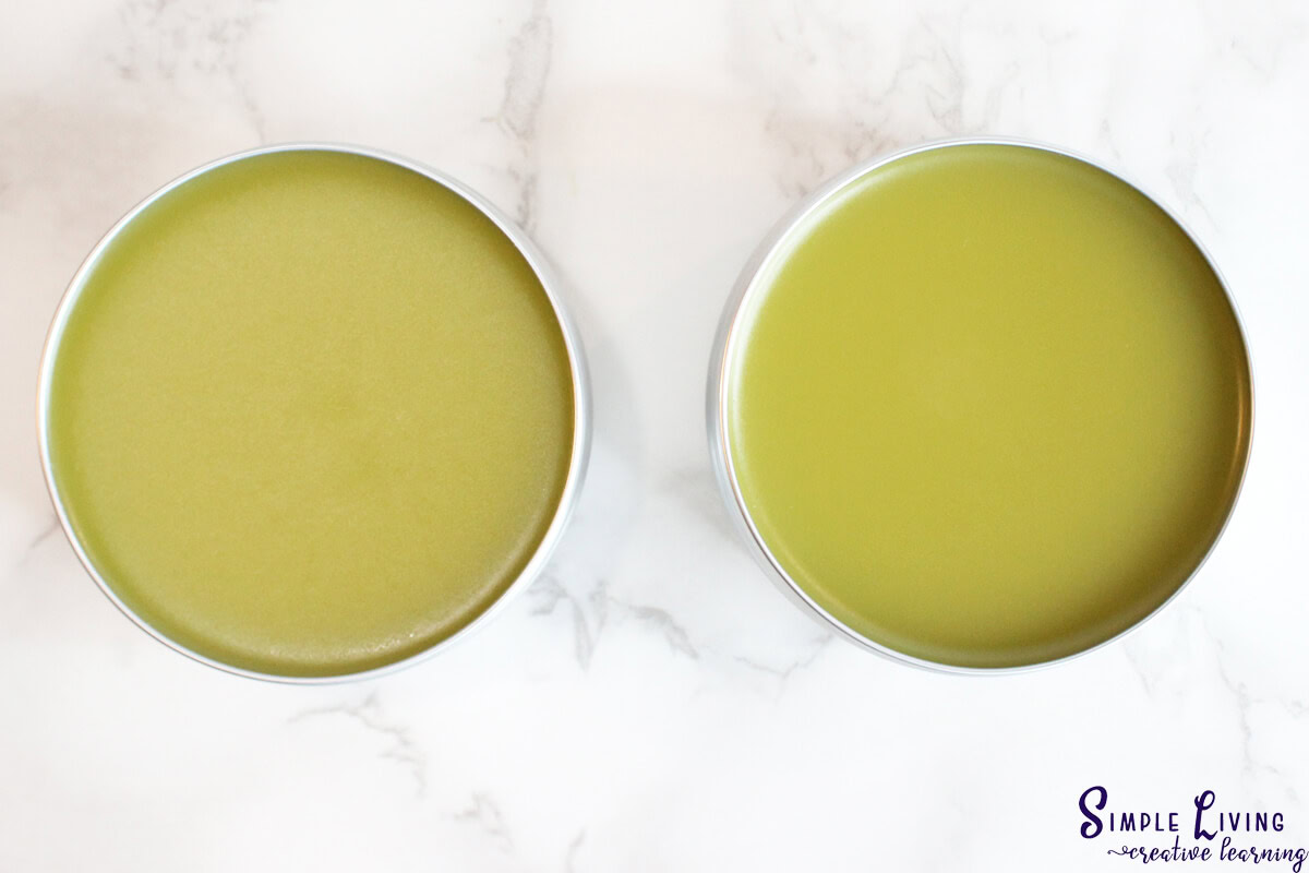 Homemade Jewelweed Salve cooled and hardened