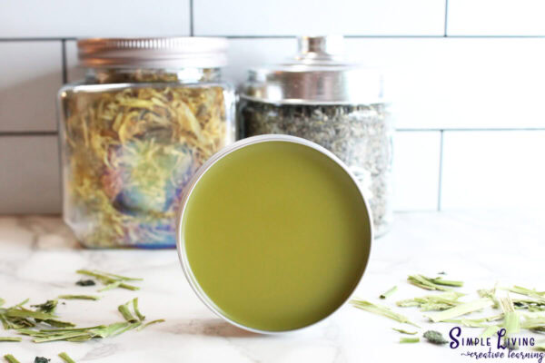 Homemade Jewelweed Salve ready to use