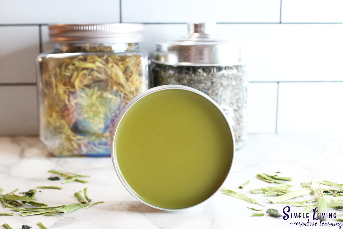 Homemade Jewelweed Salve ready to use