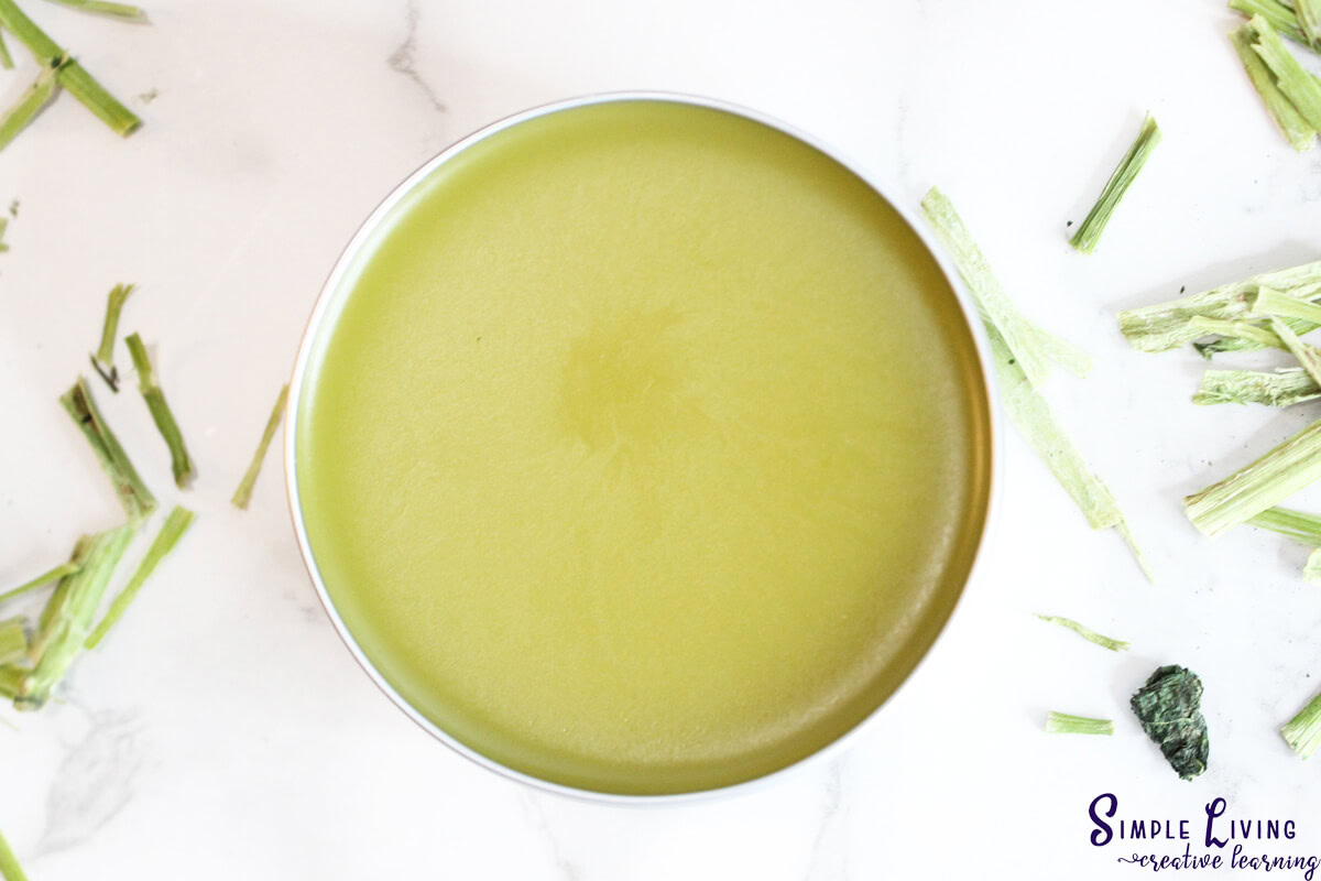 Homemade Jewelweed Salve looking down on a container