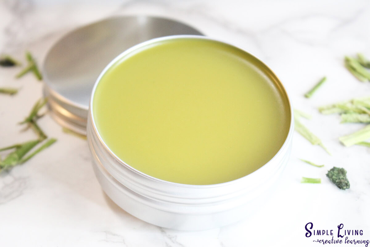 Homemade Jewelweed Salve in a tin